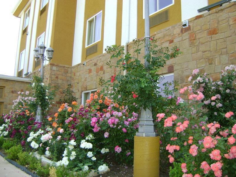 Blanco River Hotel Exterior foto