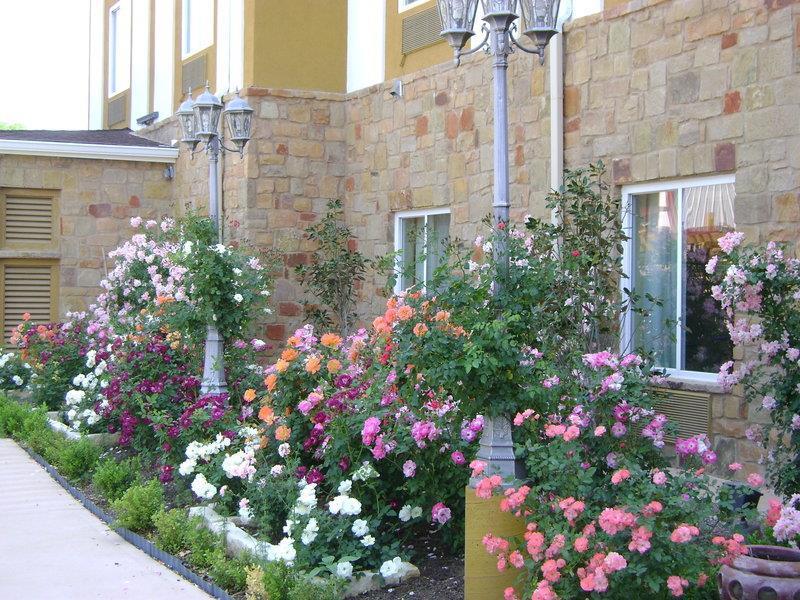 Blanco River Hotel Exterior foto